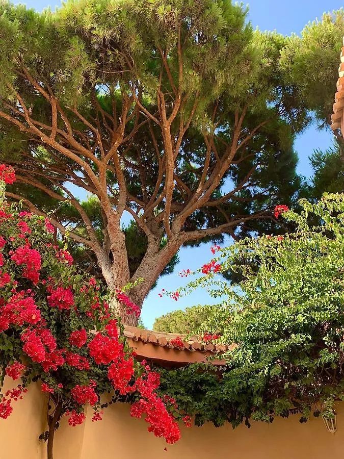 Villa Monterray, Royal Beach, Calahonda - Beach Front Villa Sitio de Calahonda